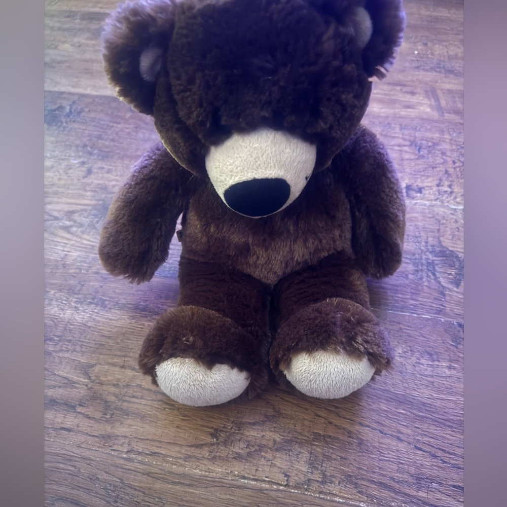 Build a Bear 10-2009 Bearemy the bear like new